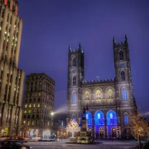https://mtl-artist-loft-champs.hotels-in-montreal.org